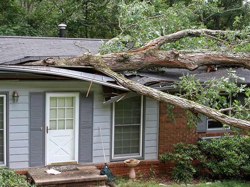 Property Restoration